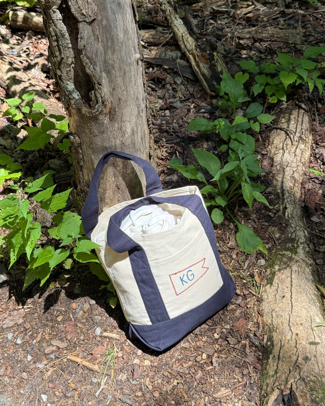 Hand Painted Mini Tote